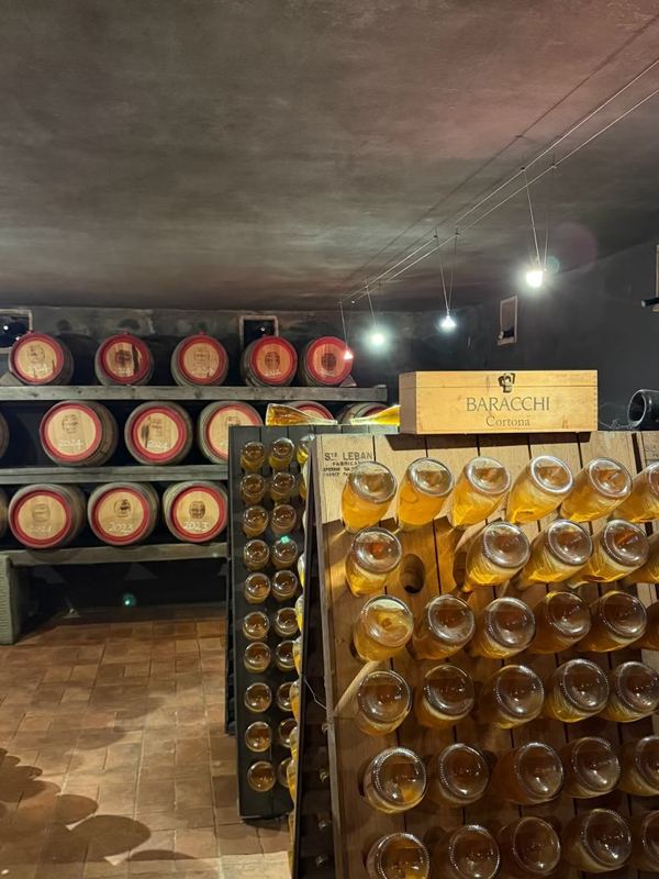 Bottles and small casks in the Baracchi cellar
