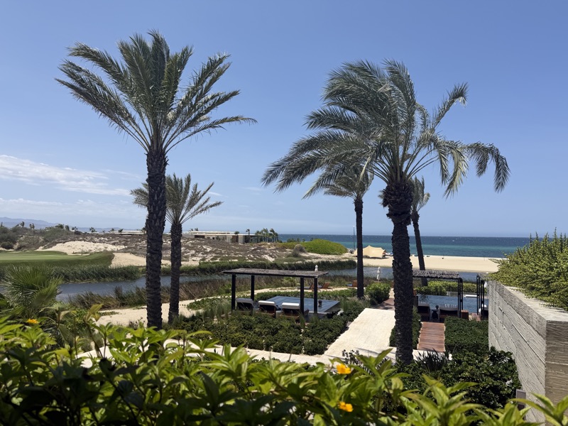 Wind-bent palms over the lagoon, golf green, dunes and the sea