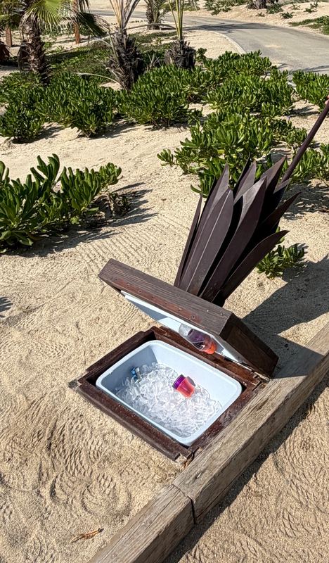 The cactus cooler: an ice chest sunk into the ground beside the tee