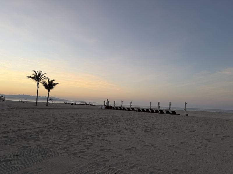 Dawn on an empty resort beach: two palms and a row of closed umbrellas and loungers