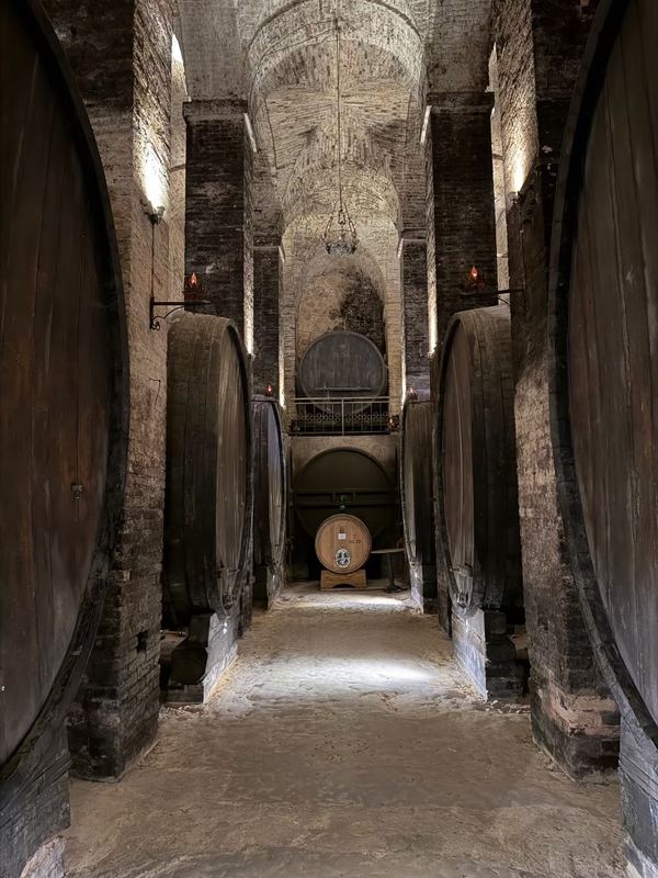 The barrel-vaulted De Ricci cellar, lined with old casks