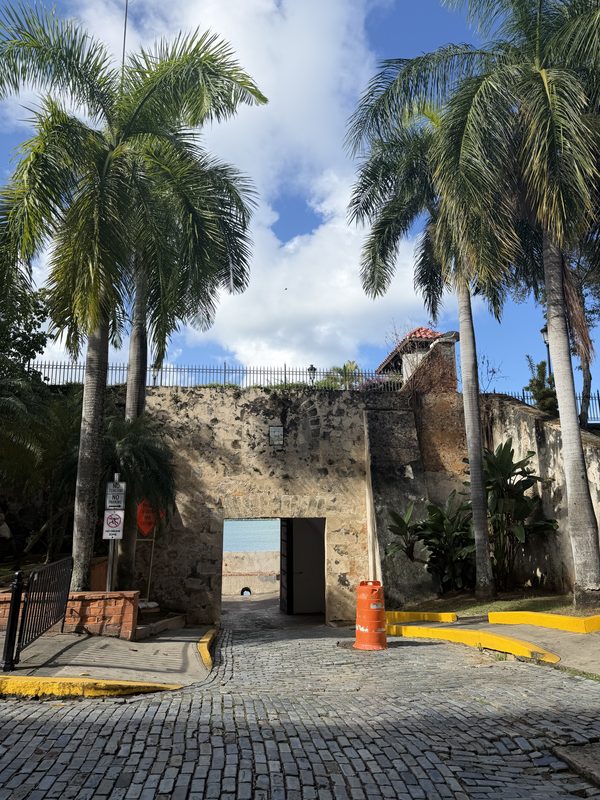 Fortress-wall gate and royal palms, Old San Juan
