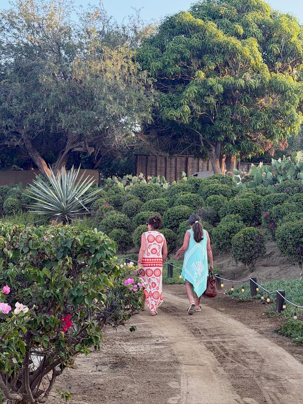 The garden walk to The Nursery, the farm-to-table restaurant for Costa Palmas homeowners