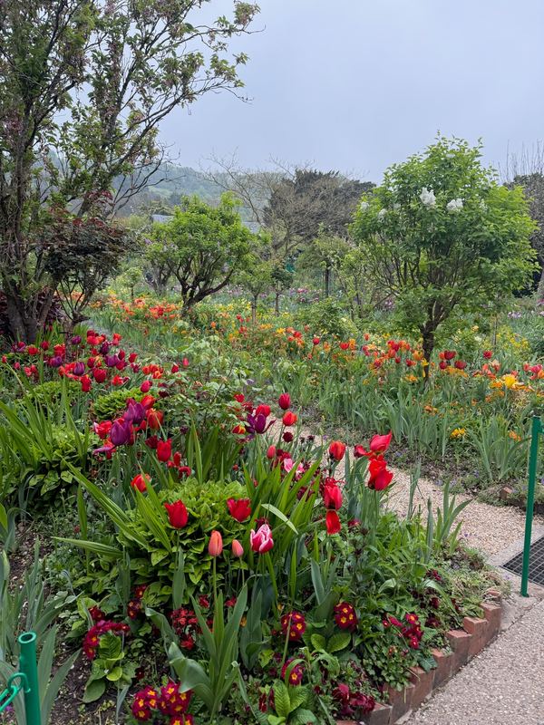 A path through the spring beds in Monet's garden at Giverny