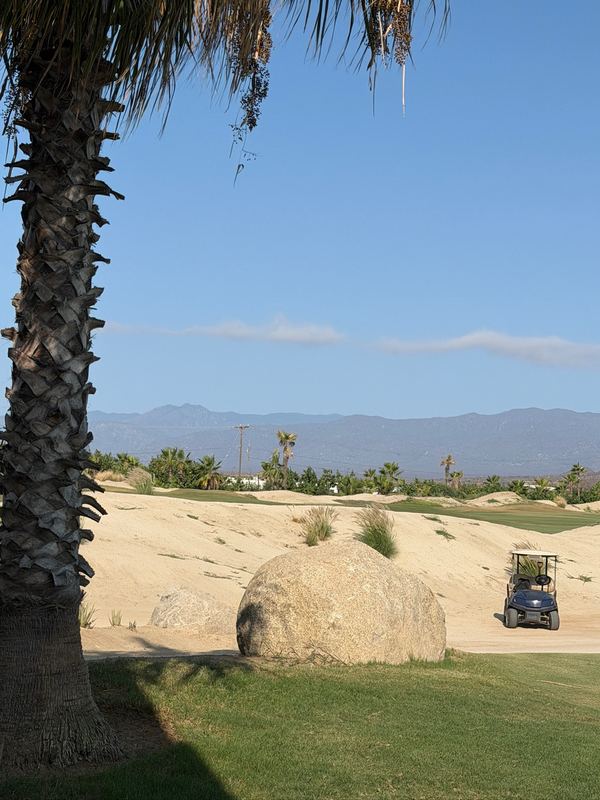 The course from under a palm, the mountains behind.