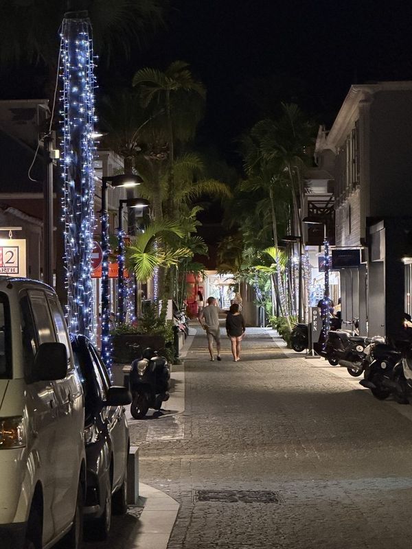 A Gustavia street at night, palm trunks wrapped in lights, shopfronts glowing