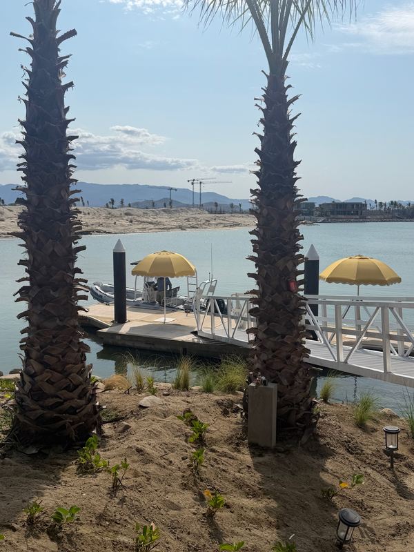 The tender dock at Delphine beach club, seen from between the palms