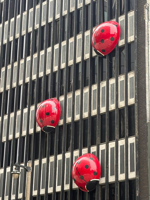Giant red ladybugs climbing an office tower