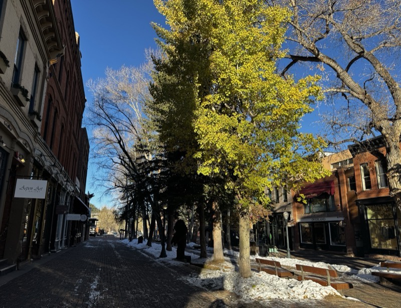 Golden trees over a snow-edged brick main street in a mountain town