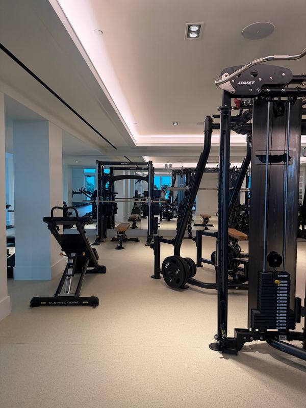 The cable station in the fitness room