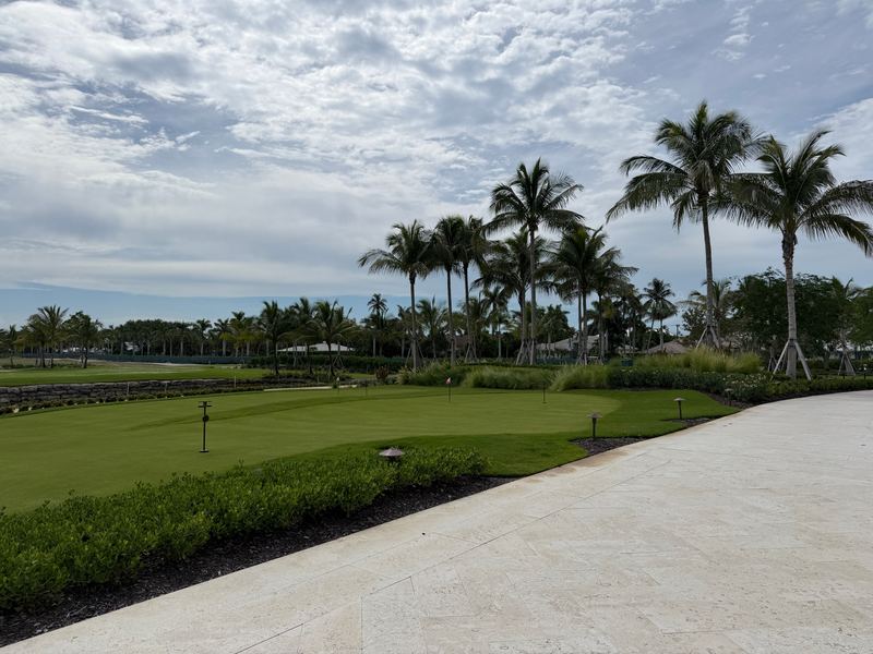 The putting green under the palms