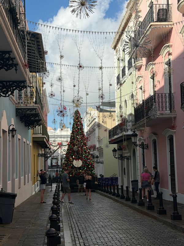 A Christmas tree on a street in Old San Juan under strung lights