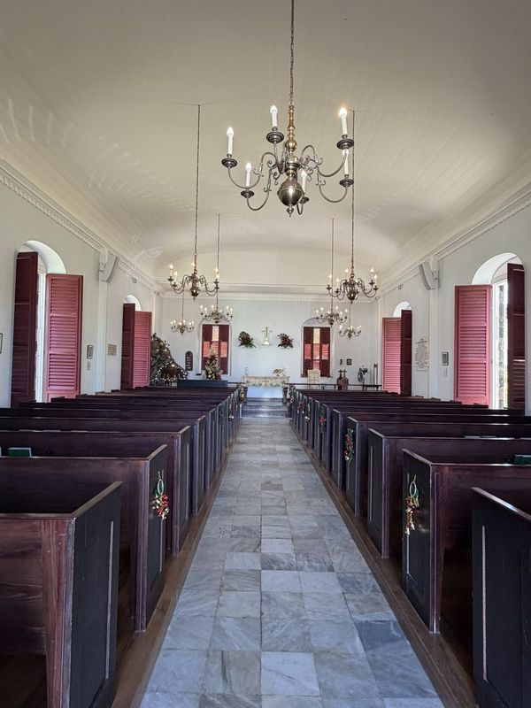 The nave of the church looking down the aisle towards the altar, dark pews under white vaulting
