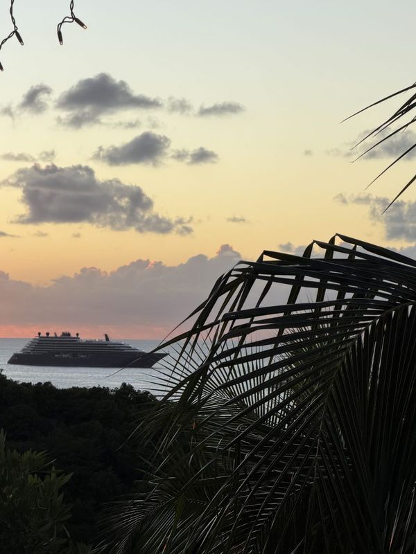 Sunset through palm fronds with Ilma at anchor on the horizon off St. Barths