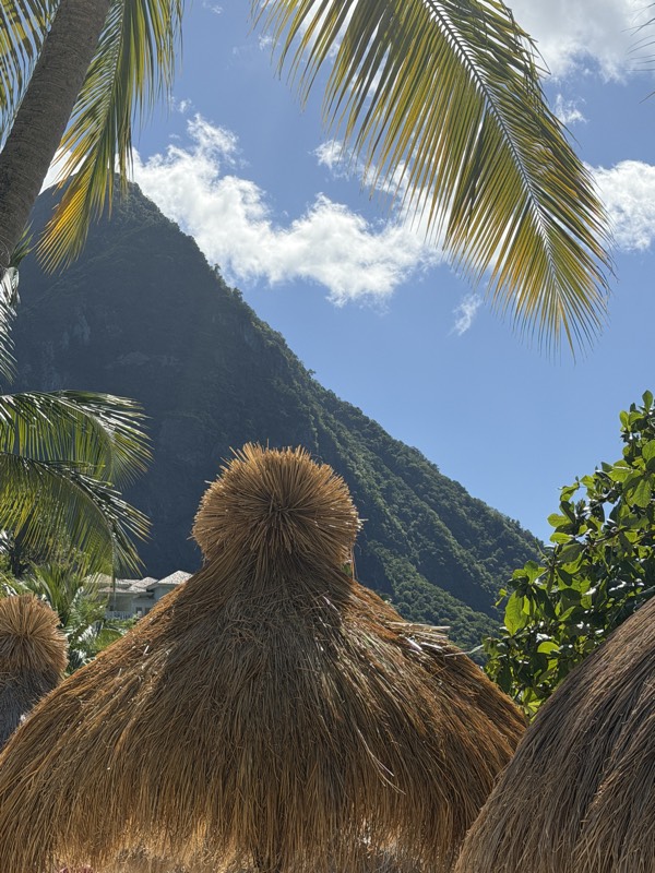 Thatched palapas under Petit Piton at Sugar Beach, St. Lucia