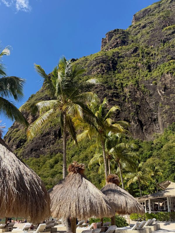 Thatched umbrellas and palms under the sheer cliff of the Piton at Sugar Beach