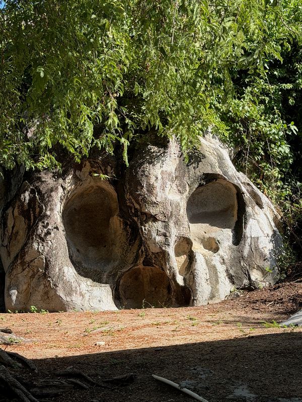 Rounded granite boulders with hollows in them, under trees, at The Baths