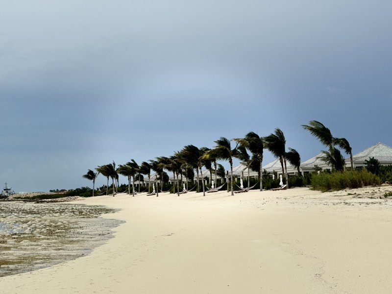 Windblown palms, hammocks, and white villas along a cream-sand beach
