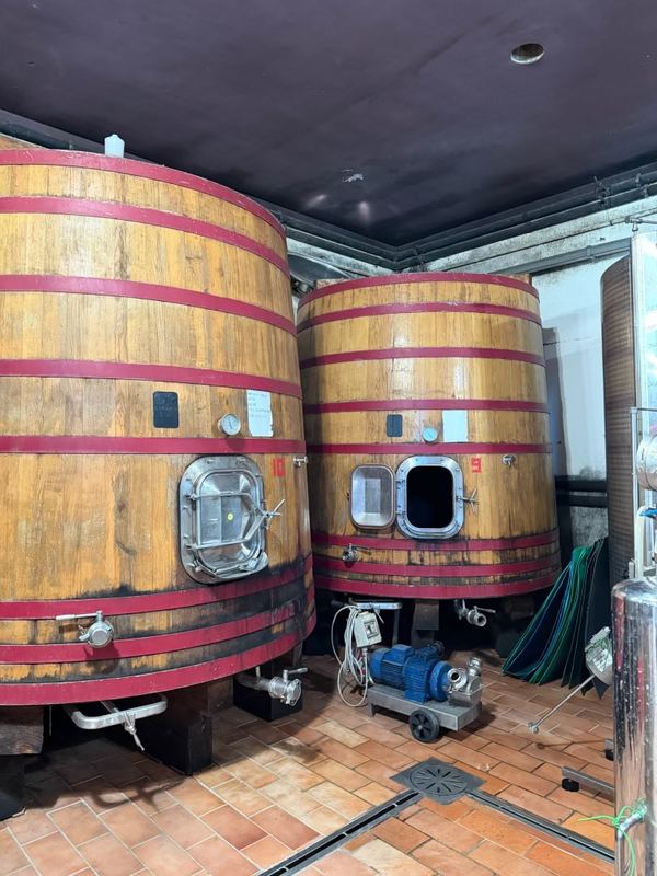 Large wooden fermentation vats at the winery