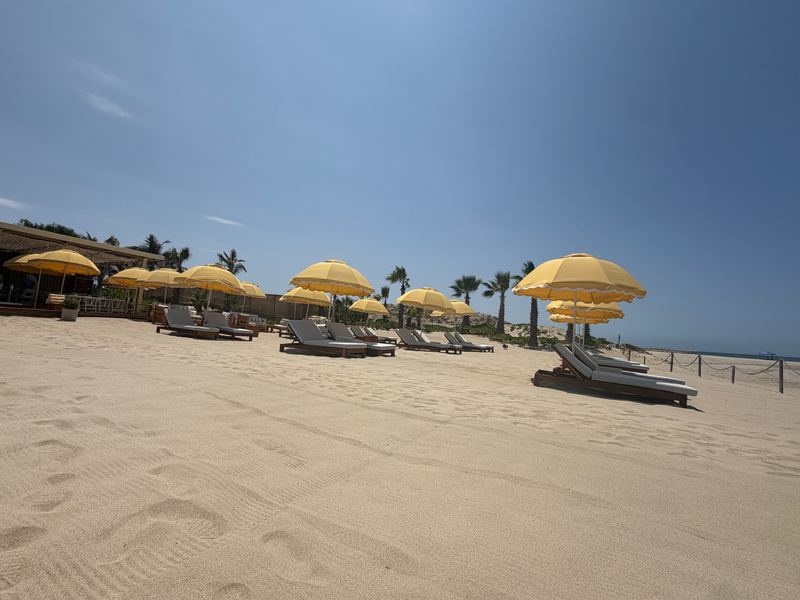 Yellow umbrellas and loungers on the beach club sand at Costa Palmas